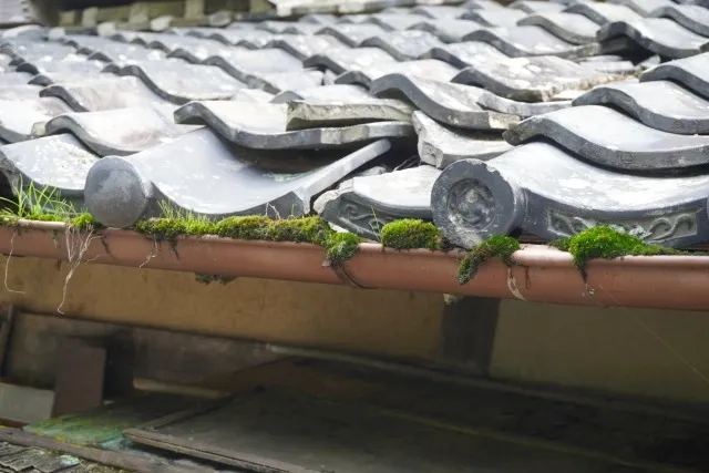 【久留米市】「雨漏りのサイン見逃していませんか？久留米市で多い原因と対策」