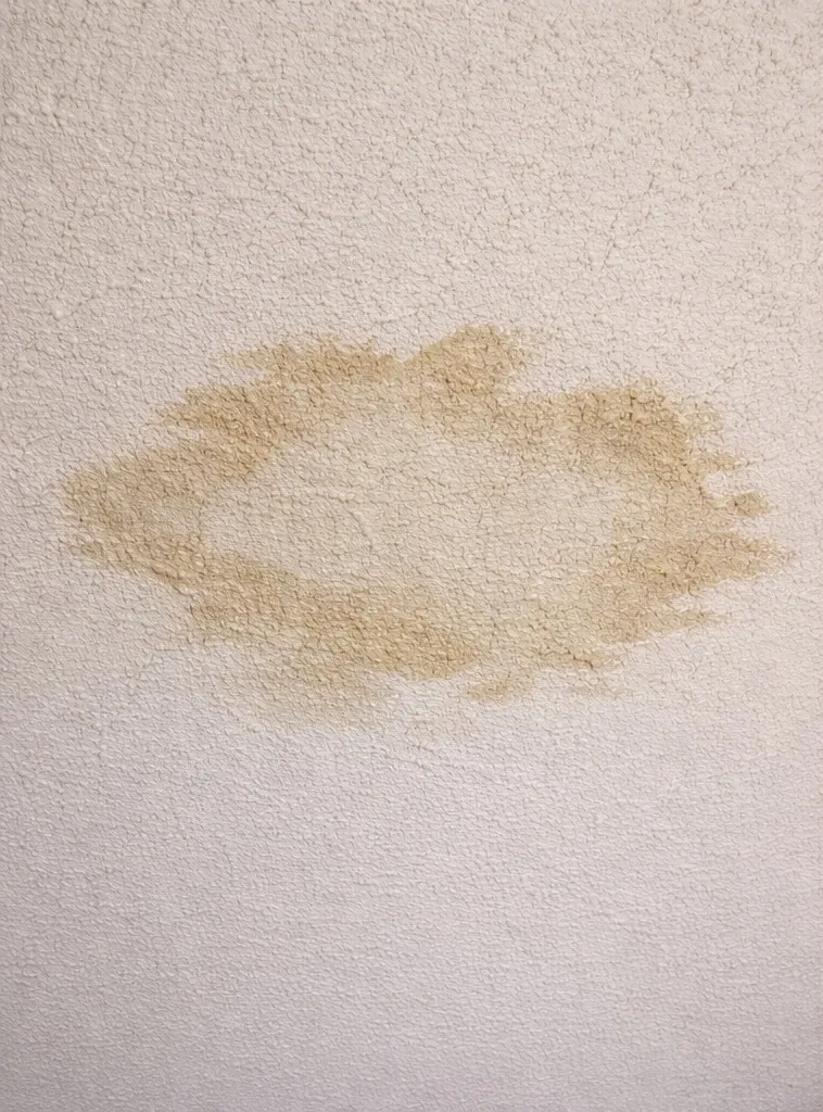 そのシミ、ただの汚れじゃないかもしれません…雨漏りの真実｜株式会社リベルタ企画